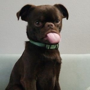 Meet your Posher, Mckenzie